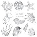 Set of vector seashells, starfish and jellyfish on white background for design. Vector illustration.