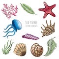 Set of vector seashells, starfish and jellyfish on white background for design. Vector illustration.