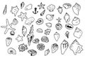 a set of vector shells in the doodle style. hand-drawn seashells, starfish black outline sketch isolated elements on Royalty Free Stock Photo