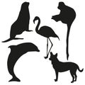 Set of vector silhouettes of animals