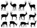 Set vector silhouettes of antelopes. Royalty Free Stock Photo