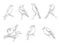 Set of vector silhouettes of birds Royalty Free Stock Photo
