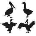 Set of vector silhouettes of birds Royalty Free Stock Photo