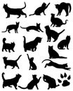 Set of vector silhouettes of cats. Collection of domestic cats. Cats. Black cat. Cat silhouette. Royalty Free Stock Photo