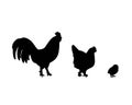 Set of vector silhouettes of chickens - hens, roosters and baby chicks Royalty Free Stock Photo