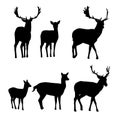 Set of vector silhouettes of deer with a fawn Royalty Free Stock Photo