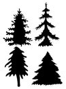 Set of Vector silhouettes of forest coniferous and deciduous fir trees. Evergreen tree silhouette illustration Royalty Free Stock Photo