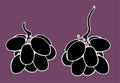 A set of vector silhouettes of grape berry clusters, hand-drawn in the sketch style, isolated elements black silhouette with a Royalty Free Stock Photo