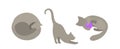 Set of vector silhouettes of gray cats in flat style. The cat curled up and sleeps, the cat stretches its paws forward, the cat