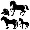 silhouettes of beautiful horses Royalty Free Stock Photo