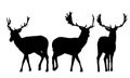 Set of vector silhouettes of three deer Royalty Free Stock Photo