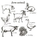 Set of vector sketch illustrations of farm animals