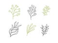 Set of vector sketches and line doodles logo organic. Hand drawn design elements isolated flowers, leaves, herbs for Royalty Free Stock Photo