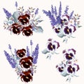 Set of vector spring flowers and violets for design