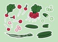 Set of vector spring vegetables stickers.