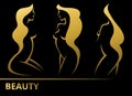 Set vector stylized beautiful women silhouettes