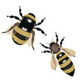 Set of vector stylized bees. Collection of logos with a honey bee. Icons with insects. Royalty Free Stock Photo