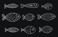 Set of vector stylized fishes. Collection of aquarium fish. Linear Art. Illustration for children.