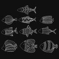 Set of vector stylized fishes. Collection of aquarium fish. Linear Art. Illustration for children.