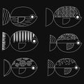 Set of vector stylized fishes. Collection of aquarium fish.