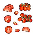 Set of vector tomato slices