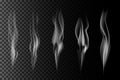 Set of vector transparent gray smoke. Royalty Free Stock Photo