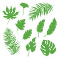 Set of vector tropical green leaves, herbal element, simple collection of botanical vector flat plant illustration