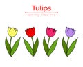 Set of vector tulips. Flat icons of red, pink, yellow, violet tulips. Linear varicolored tulips with green leaves. Spring flowers. Royalty Free Stock Photo