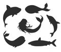 Set of vector underwater life silhouettes with mermaid, whales,