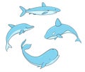 Set of vector underwater life with whale, shark, narwhal and dolphin. Sea creatures isolated on the white background. Royalty Free Stock Photo