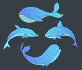 Set of vector underwater life with whales and dolphin. Sea creatures isolated on the dark background. Royalty Free Stock Photo