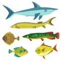 Set with vector various cute colorful stylized fishes. Royalty Free Stock Photo