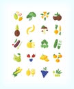 Set of vector vegetarian organic food. Flat fruit and vegetables icon set.