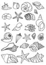 Set of vector vintage seashells. Royalty Free Stock Photo