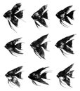 Set of vector watercolor black angelfish