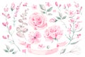 Set vector watercolor elements of roses, leaves. collection garden pink flowers, leaves, branches, plants, Botanic