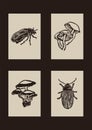 Set of vector woodcut scandi folkart of mushroom, bug clipart illustrations in woodland style. Collection of whimsical