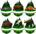 Set of vector woodland emblems with barn owl, red fox, racoon, grizzly bear, moose bull and zubr buffalo bison Royalty Free Stock Photo