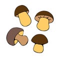 Set of vectors mushrooms in doodle flat style. Hand drawn color illustrations. Theme of nature, forest, thanksgiving Royalty Free Stock Photo