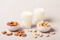 Set of vegan non diary milk and ingredients. Health care and diet concept Royalty Free Stock Photo