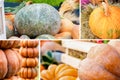 Set of vegetable assortment a collection of pumpkins big orange tower and mine on hay