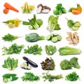 Set of vegetable isolated on white background Royalty Free Stock Photo