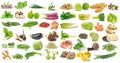 Set of vegetable isolated on white background Royalty Free Stock Photo