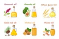 Set of vegetable oils in glass bottles. Wheat Germ Oil, Amaranth, Avocado, Cedar nut oil, Walnut and Peanut.