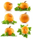Set vegetable pumpkins with green leaves Royalty Free Stock Photo