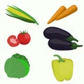 Set of vegetable on white background