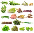 Set of vegetable on white backgruond Royalty Free Stock Photo