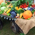 Set vegetables Royalty Free Stock Photo