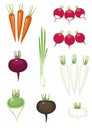 Set of vegetables