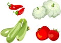 Set of vegetables